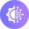Raven Fundmere trading strategy